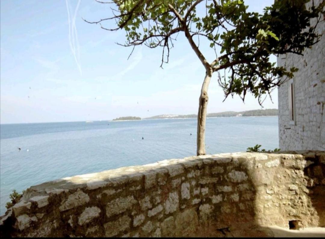 Apartment Giulio - 10Mt To The Beach Rovigno Esterno foto