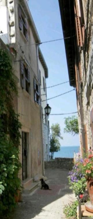 Apartment Giulio - 10Mt To The Beach Rovigno Esterno foto